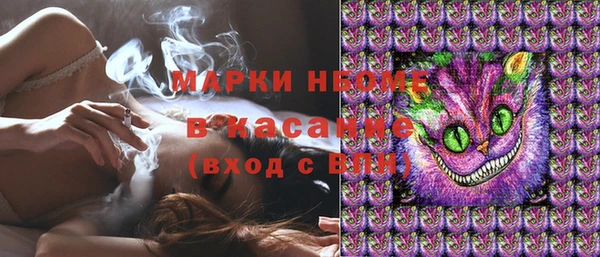 2c-b Инсар