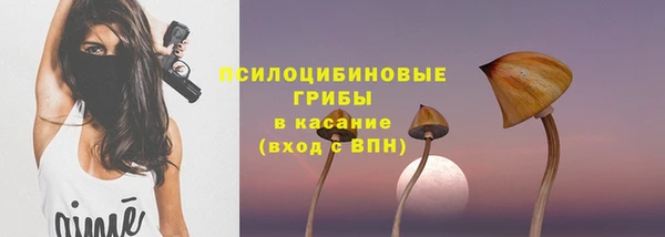 2c-b Инсар