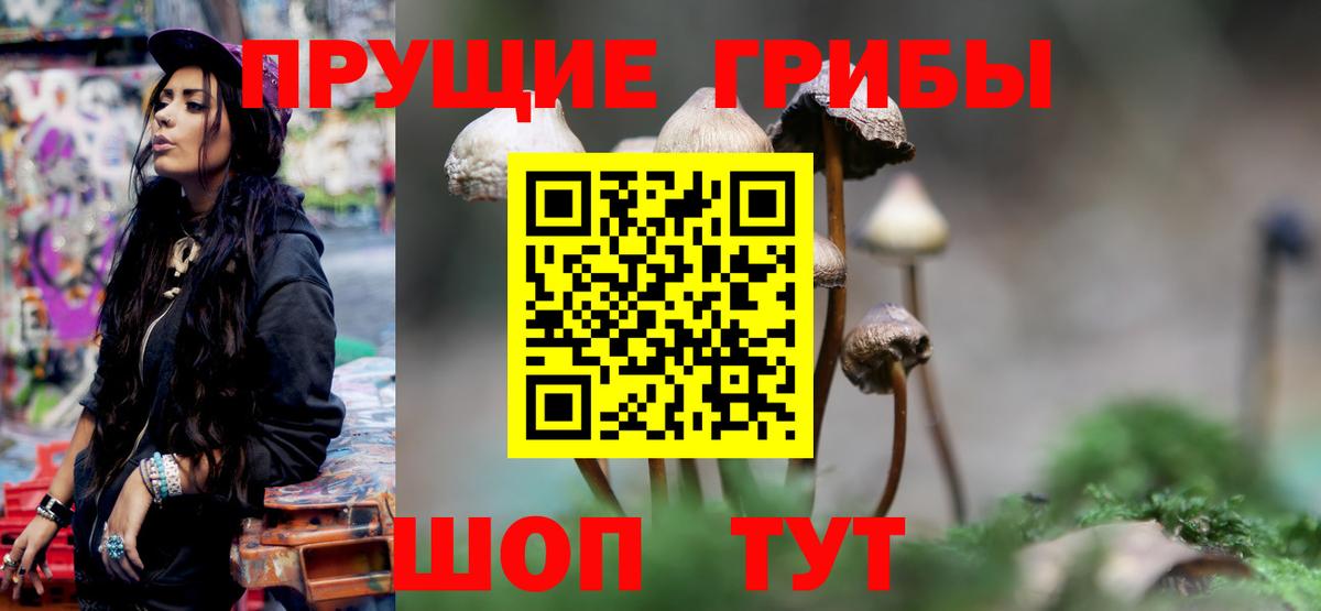 Псилоцибиновые грибы мухоморы Снежинск